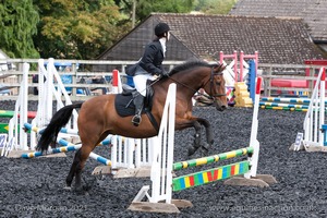 Class 3 -  Fences not above 2'3